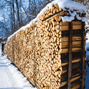 Заготівля дров, або як заощадити на дров’яному опаленні – поради фахівців